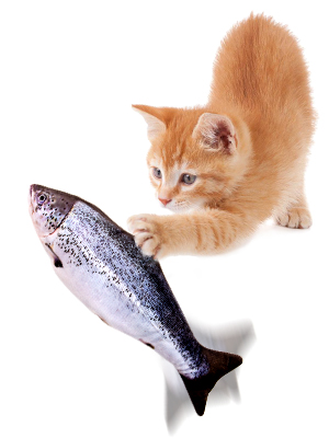 TOOGE 2 Pack 11" Electric Moving Fish Cat Toy Realistic Interactive Flopping Fish Cat Kicker Catnip Toys for Indoor Cats Pets Kitten